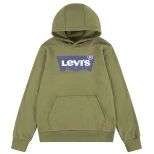 Green boy's sweatshirt with box logo