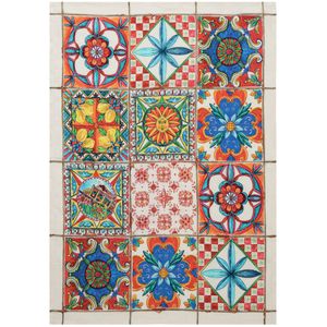 Strofinaccio Camastra 50x70