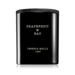 Candela Grapefruit & Bay 230gr