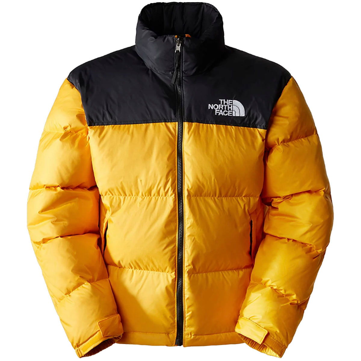 The North Face Piumino Retro Nuptse 1996 su Arteni