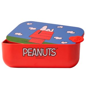 Peanuts and Snoopy Lunch Box with airtight silicone seal
