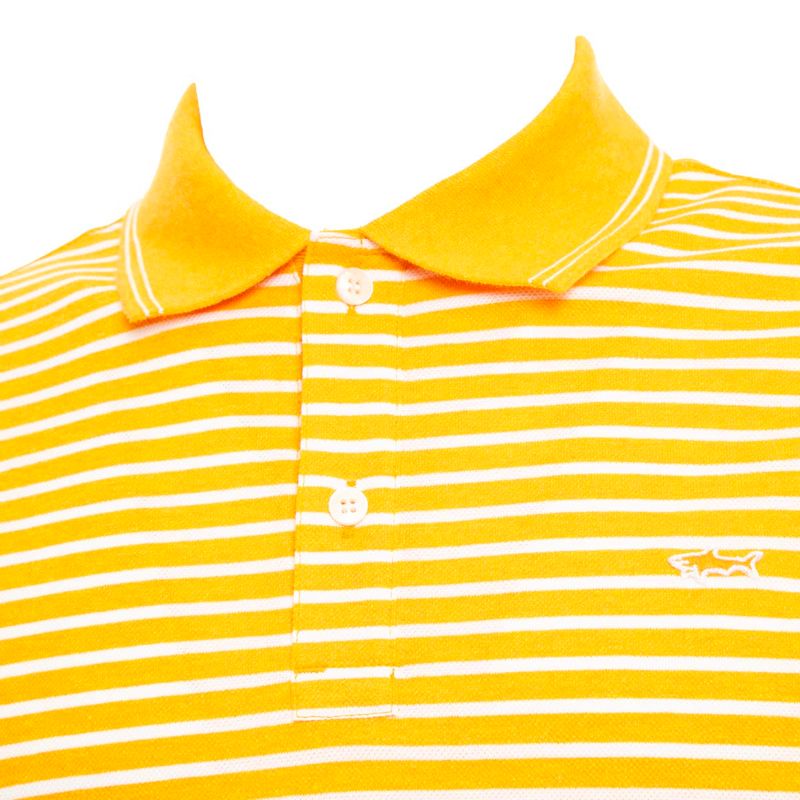 UOMO-PAUL---SHARK-POLO-1521355