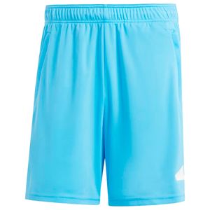 Shorts da allenamento azzurri con logo