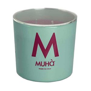 Leather and Fruits Candle 270g
