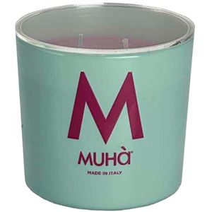 Leather and Fruit Candle 500gr