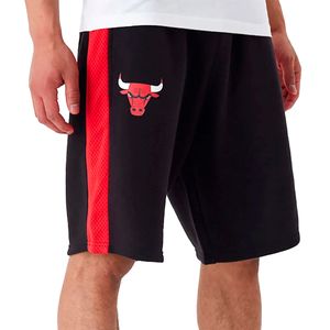 Shorts Chicago Bulls NBA Mesh Panel