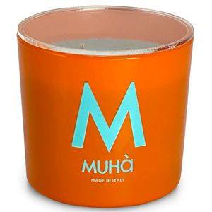 Cedar and Bergamot Candle 500g