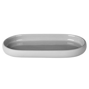 Tray Are Micro Chips