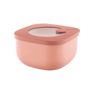 Low pink Food Storage container S