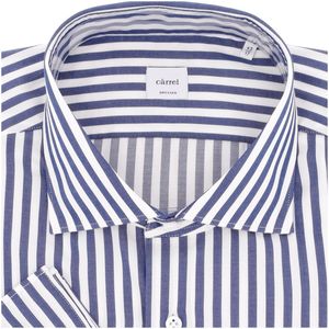 Dressed Shirt Light Blue/Blue Striped