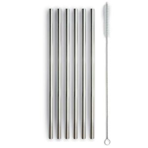 Set 6 cannucce in acciaio inox con scovolino