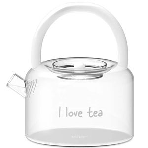 Borosilicate glass teapot with filter