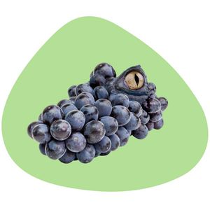 Double-sided placemat with design