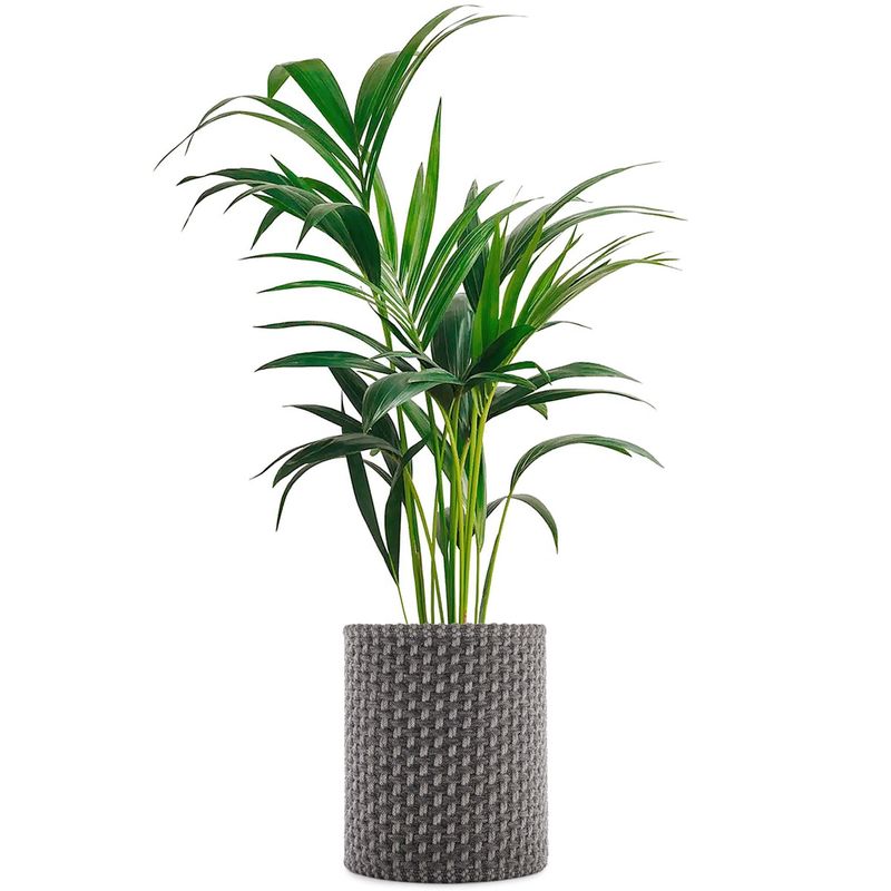 OGGETTISTICA-KARTELL-1562427