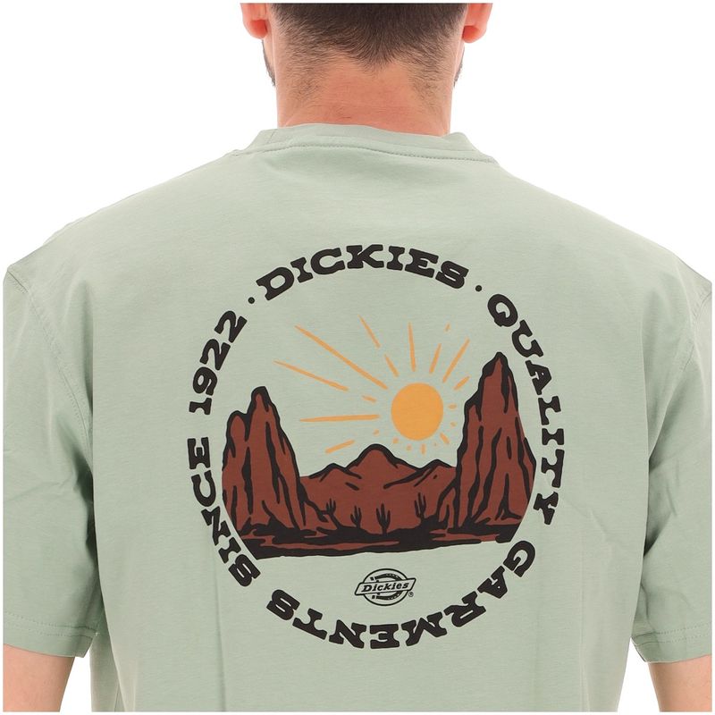 UOMO-DICKIES-T-SHIRT-1549689