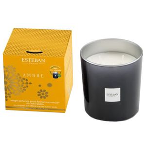 Candela profumata Ambra 450g