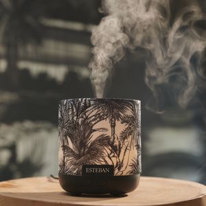 Easy Living Perfume Mist Diffuser