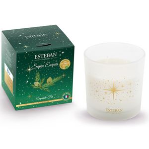 Exquisite Fir Candle 450gr