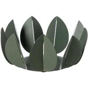 Ficus Iron Centerpiece