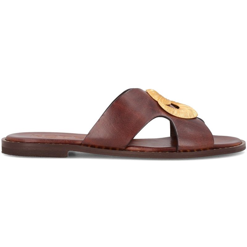 CALZATURE-KOTRIS-ABITI-CORTI-1560056