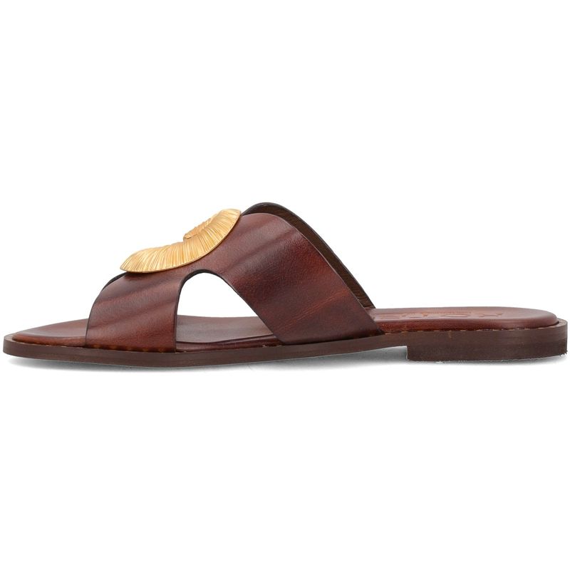 CALZATURE-KOTRIS-ABITI-CORTI-1560056