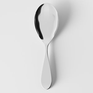 Sereno Steel Rice Spoon