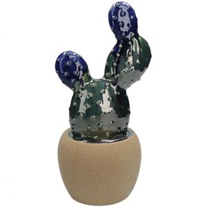 Arizona cactus vase