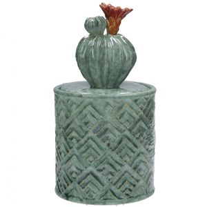 Green Opuntia container with cactus
