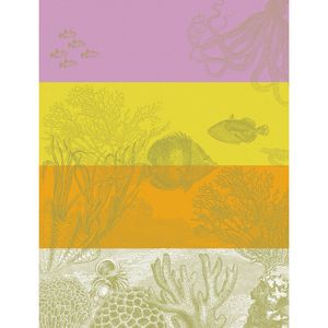 Strofinaccio Sous L'océan in cotone 60x80 cm