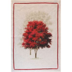 Canovaccio Greeson 50x70