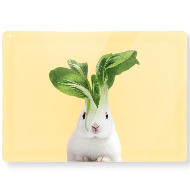 OGGETTISTICA-WD-LIFESTYLE-1594043