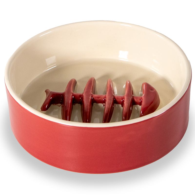 OGGETTISTICA-WD-LIFESTYLE-1577505
