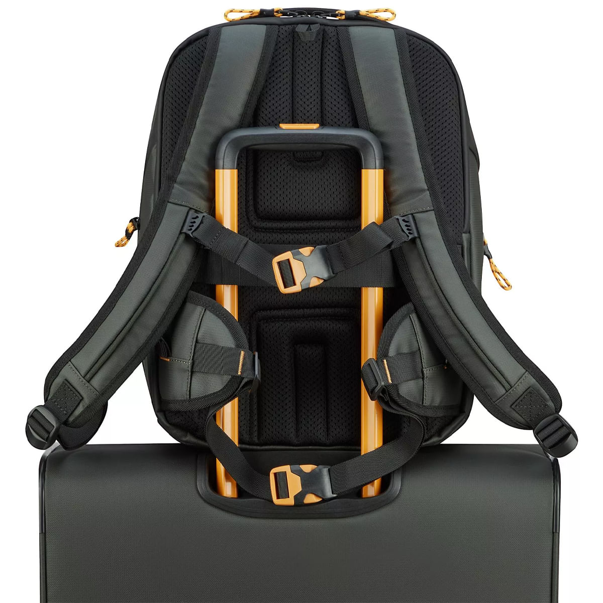 Product 6
