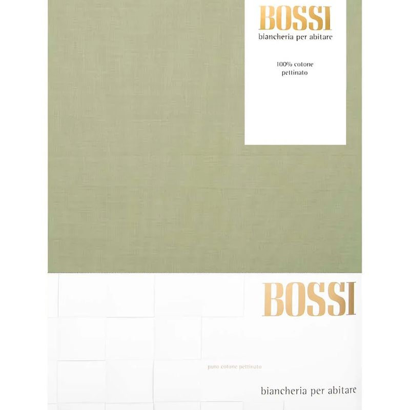 Bossi282