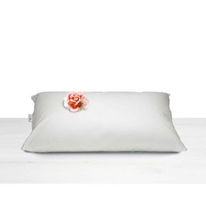 Cuscino Daunen Gold