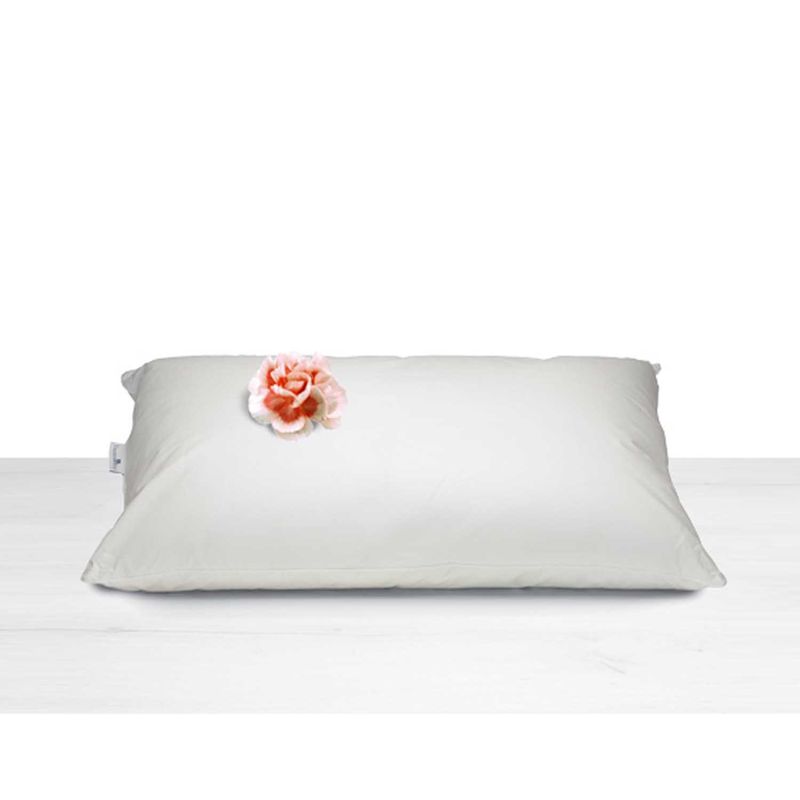 Cuscino_Daunen_Gold_Classic_1
