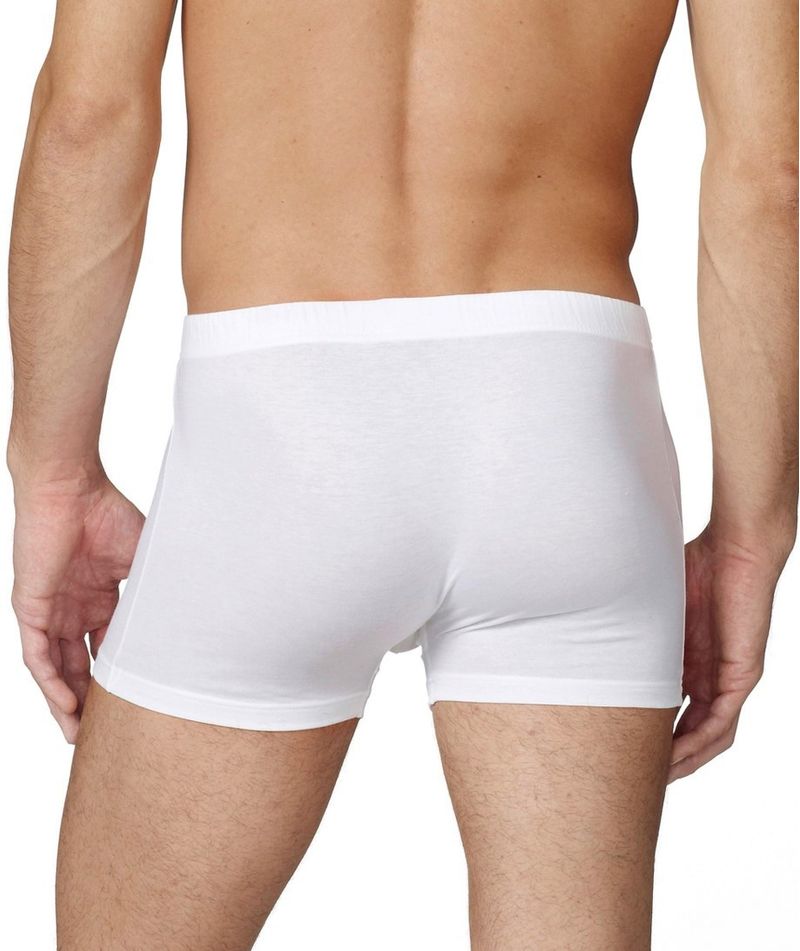 Boxer_Evolution_S_2