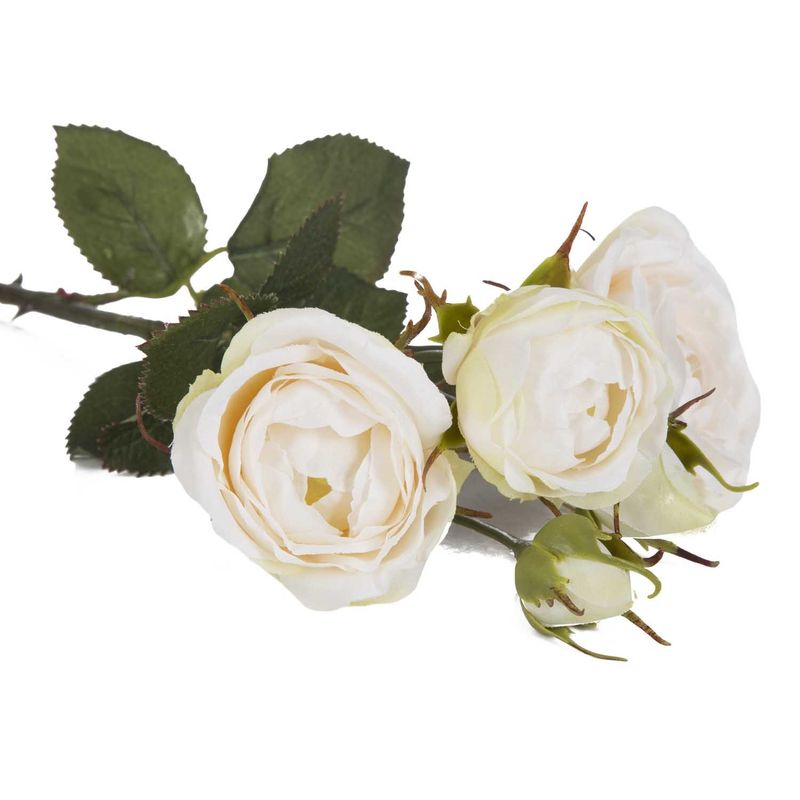 Mazzo_di_rose_TU_1