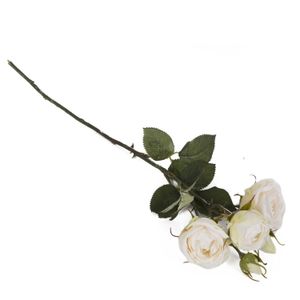 Mazzo di rose