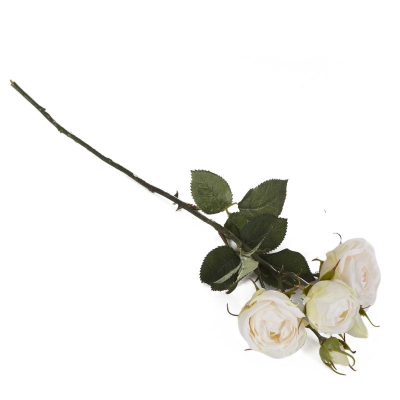 Mazzo_di_rose_TU_2