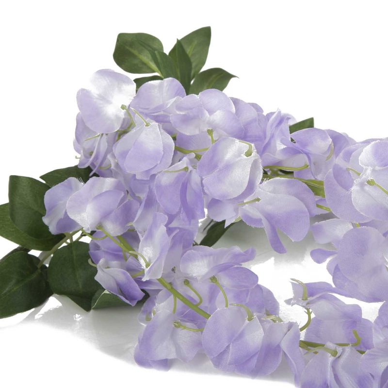 Ramo_di_glicine_1