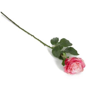 Single rose