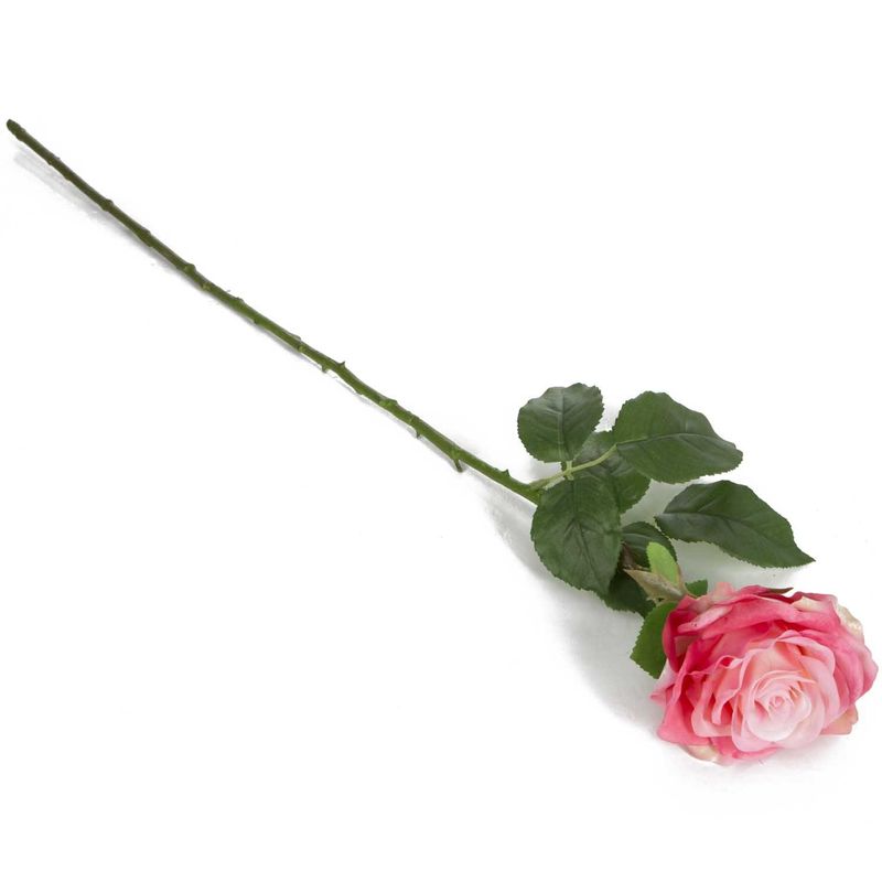 Rosa_singola_TU_2