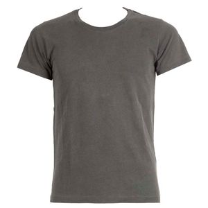 Gray t-shirt with logo on the sleeve