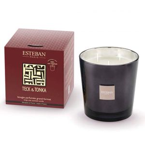 Candela profumata Teck et Tonka 170g