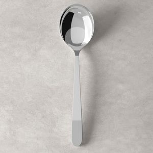 Daily Line serving spoon