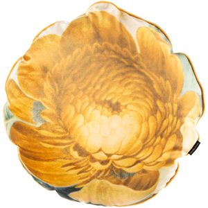 Cuscino Vanila 45cm