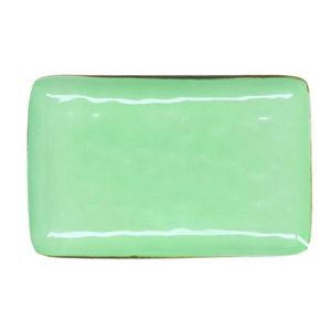 Concerto Te 'rectangular tray Pastel green 20x13